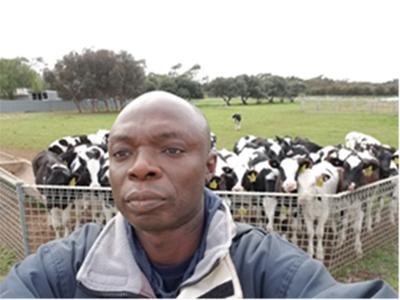 Profile picture for user ROsei